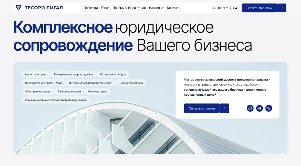 Кейс Tesoro Legal